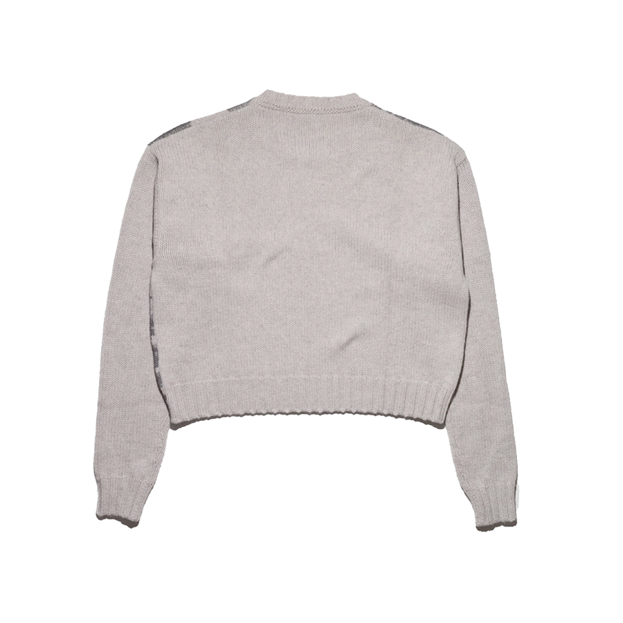 Past In Vain Crewneck Sweater