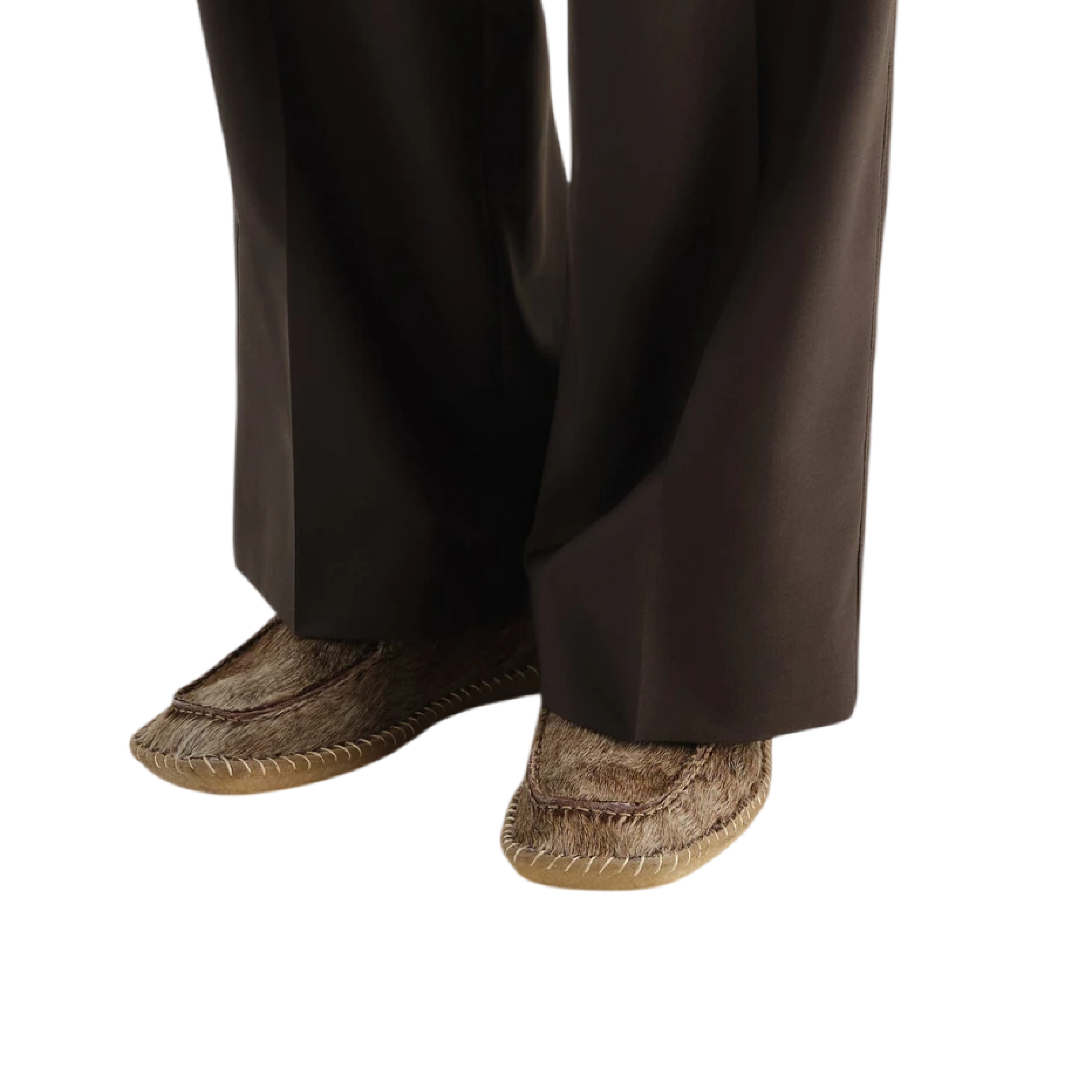Agrandir